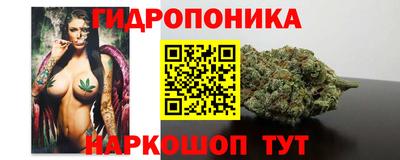 гашик Волгодонск