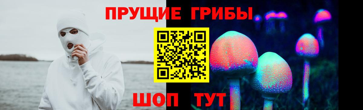 Галлюциногенные грибы Psilocybe Норильск